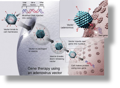 Gene_therapy-SH400x295.jpg